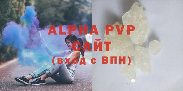 стаф Абинск