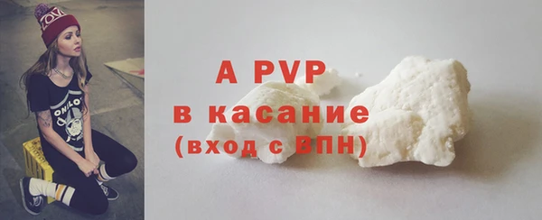 стаф Абинск
