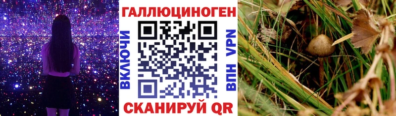 Галлюциногенные грибы Magic Shrooms  Нелидово 